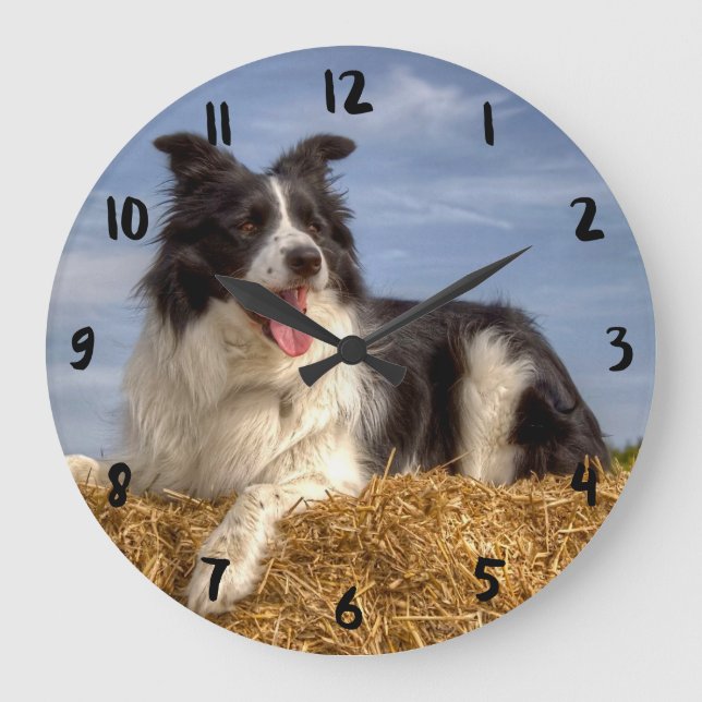 Hübsche Border Collie auf Strohhalm Große Wanduhr (Vorderseite)