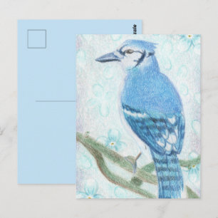 Hübsche Buntstift Blauraben-Postkarte Postkarte