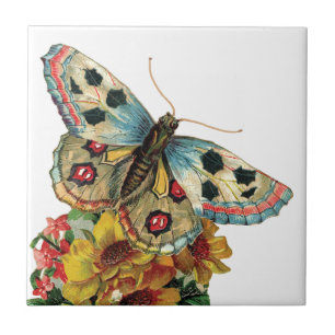 Hübsche Butterfly Floral Keramik Tor Fliese