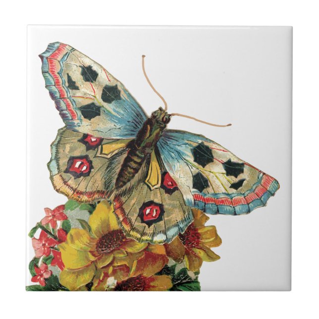 Hübsche Butterfly Floral Keramik Tor Fliese (Vorderseite)