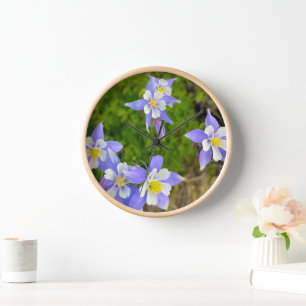Hübsche Columbine-Blumen in blau, gelb, violett Uhr