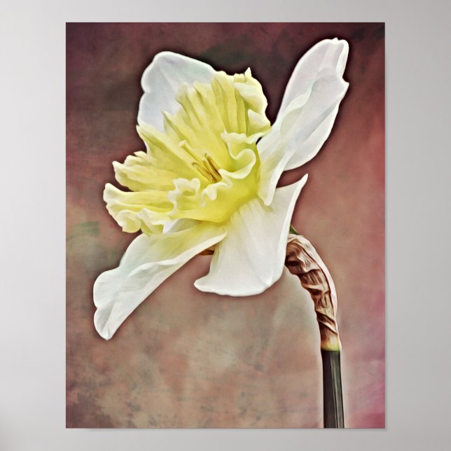 Hübsche Daffodische Blume Fotografische Kunst druc Poster (Vorne)
