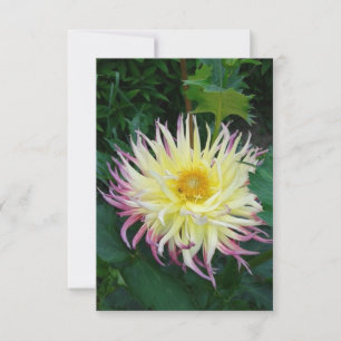 Hübsche Dahlia-Blume Karte
