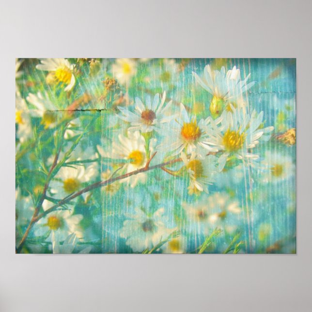 Hübsche Daisies Poster (Vorne)