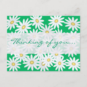 Hübsche Daisies Postkarte