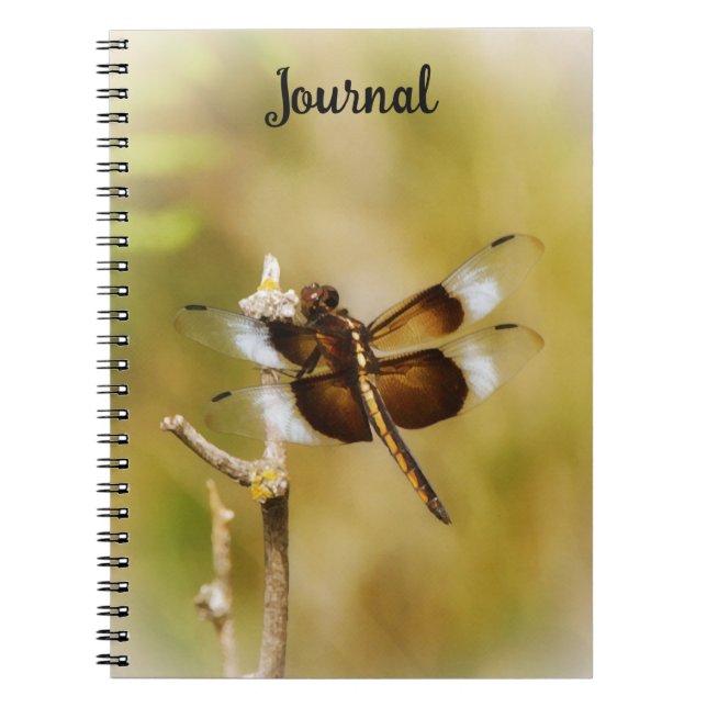 Hübsche Dragonfly Nature Personal Journal Notizblock (Vorderseite)