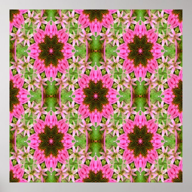 Hübsche Echanicea...... Poster (Vorne)