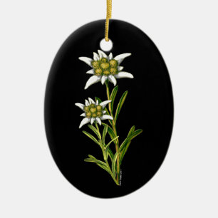 Hübsche Edelweiss-Ornament Keramik Ornament