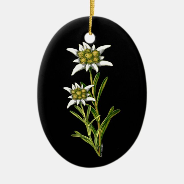 Hübsche Edelweiss-Ornament Keramik Ornament (Vorne)