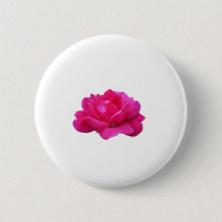 hübsche einzelne rosa Rosenblüte Button
