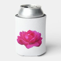 hübsche einzelne rosa Rosenblüte