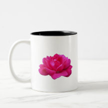 hübsche einzelne rosa Rosenblüte
