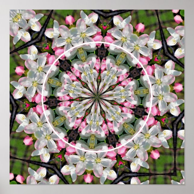 Hübsche Frühjahrsblüten schaffen Ihr eigenes Foto Poster (Vorne)