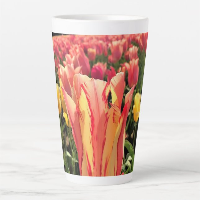 Hübsche Frühlings-Tulpe, Oregon Milchtasse (Vorderseite)