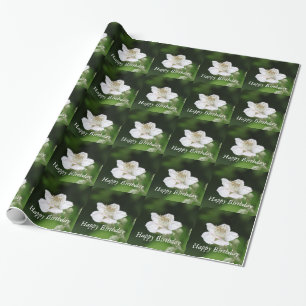 Hübsche Frühlingsfotografie Geschenkpapier