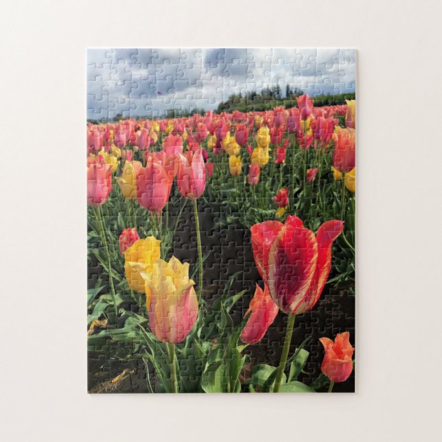 Hübsche Frühlingshuppen im Feld, Oregon Puzzle (Vertikal)