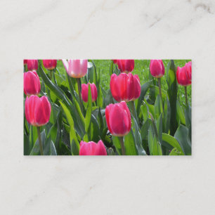 hübsche Frühlingsrosatulpenblumen. Garten floral Visitenkarte