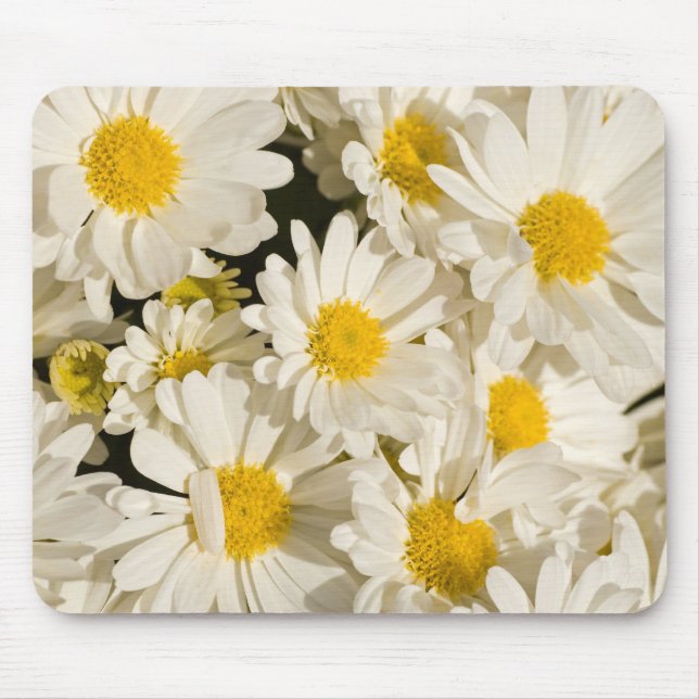 Hübsche Gänseblümchen Mousepad (Vorne)