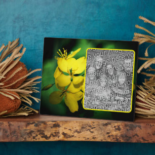 Hübsche gelbe Wildblumen ergänzen Ihr eigenes Foto Fotoplatte