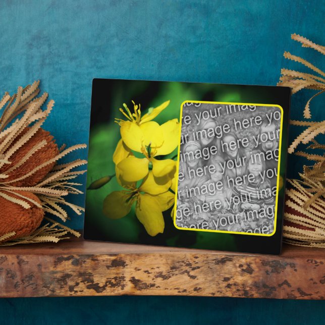Hübsche gelbe Wildblumen ergänzen Ihr eigenes Foto Fotoplatte (Seite)