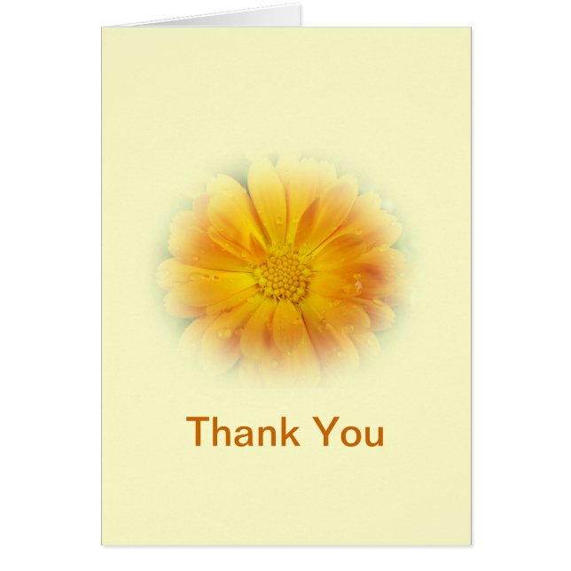 hübsche Gelbfärbung Blume (Vorne)