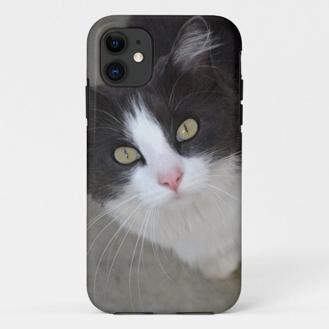 Hübsche graue und weiße Katze Case-Mate iPhone Hülle (Rückseite)