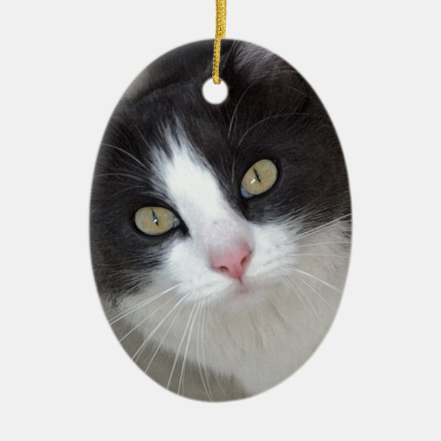 Hübsche graue und weiße Katze Keramikornament (Vorne)
