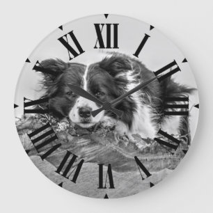 Hübsche Grenz Collie Dog Große Wanduhr