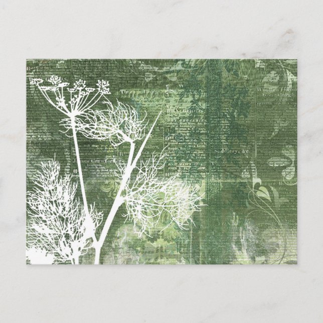 Hübsche grüne und weiße Lüster Vintage Samen Postkarte (Vorderseite)