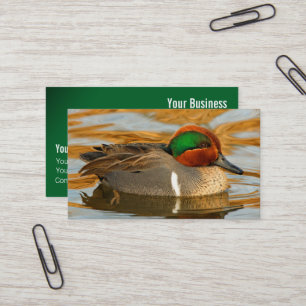 Hübsche Grünflügel-Teichente auf goldenem Teich Visitenkarte