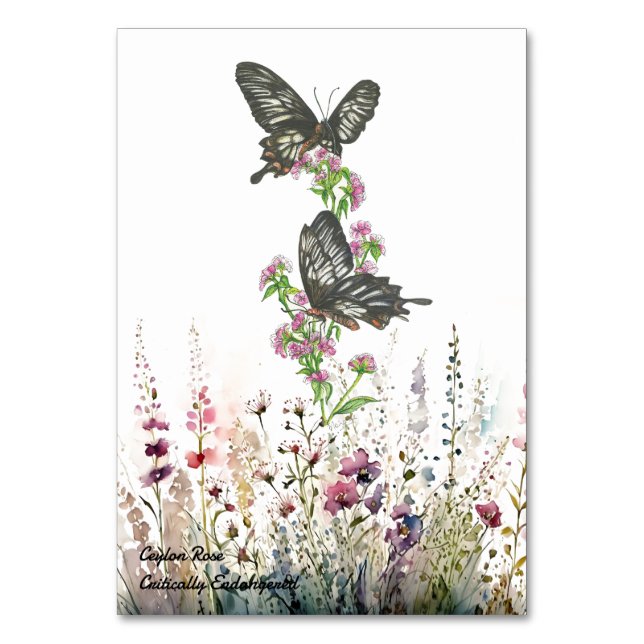 Hübsche handgestrichene Ceylon-Rose Schmetterling Tischnummer (Vorderseite)