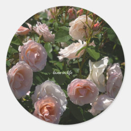 Hübsche hellrosa Rose Runder Aufkleber