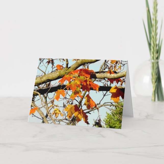 Hübsche Herbstlaub Herbstsegnung Karte (Vorderseite)
