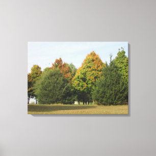 Hübsche Herbstlaube Fotografie von Wisconsin Art Leinwanddruck