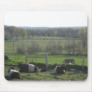Hübsche Herde Belties entspannt Mousepad