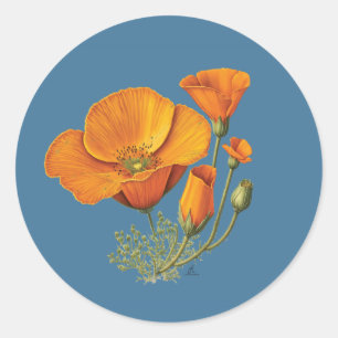 Hübsche Kalifornische Mohnblumen-Vintage-Aufkleber Runder Aufkleber