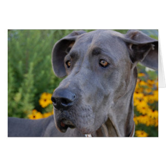 Hübsche Karte anzeigen