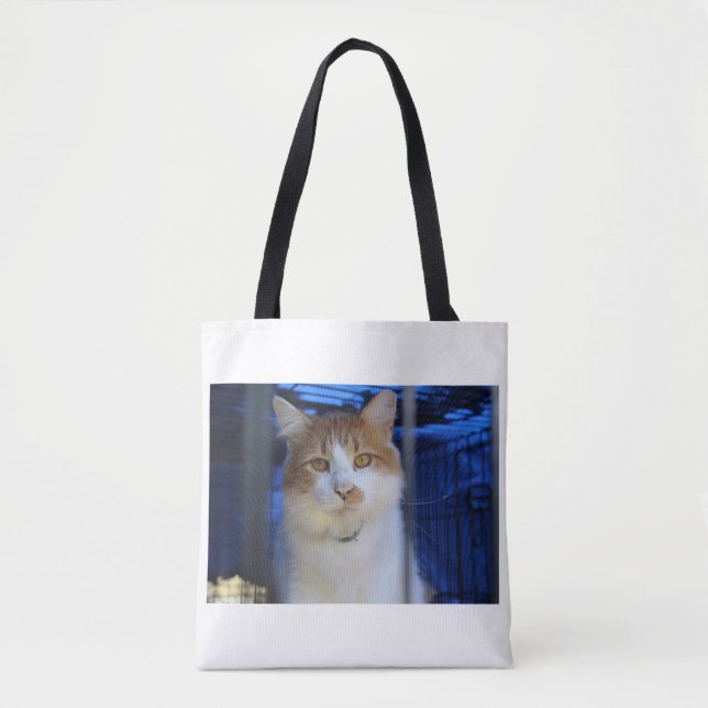 hübsche Katze (Vorderseite)