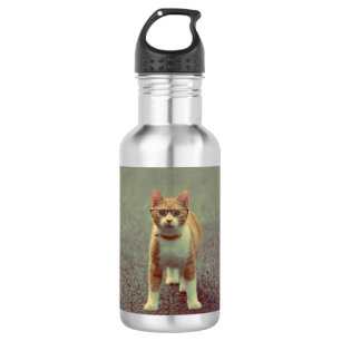 Hübsche Katze mit Brille Edelstahlflasche