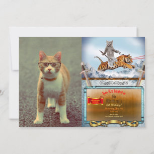 Hübsche Katze mit Brille Einladung