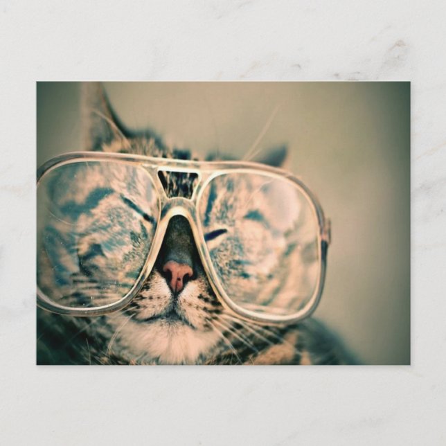Hübsche Katze mit Brille Postkarte (Vorderseite)