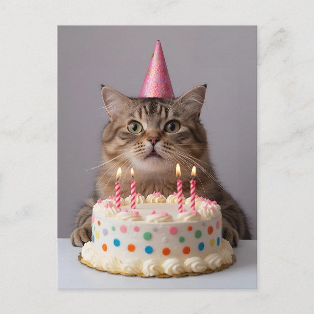 Hübsche Katze mit Geburtstagskuchen Postkarte (Vorderseite)