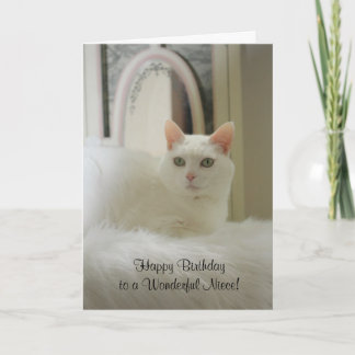 Hübsche Katze/Weibliche Geburtstag Karte
