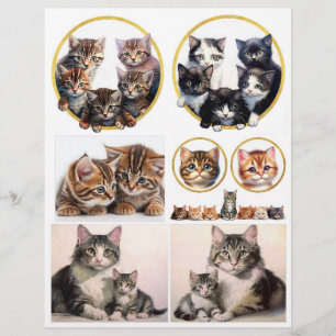 Hübsche Katzen-Illustrationen inspiriert von H. Ma