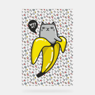 Hübsche Katzen, Milch und Magie. Acrylschild