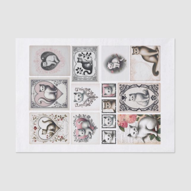 Hübsche Katzen und Herzmuskelkater Seidenpapier (Vorderseite)