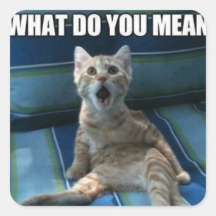 Hübsche Katzenkleber Quadratischer Aufkleber