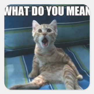 Hübsche Katzenkleber Quadratischer Aufkleber
