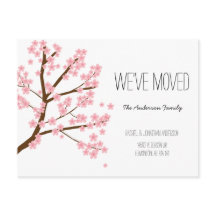 Hübsche Kirschblüten Sakura Tree Wir haben uns bew