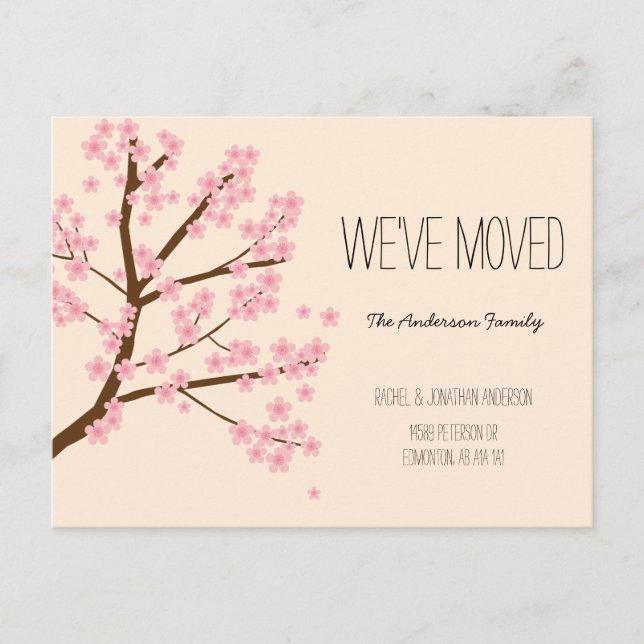 Hübsche Kirschblüten Sakura Tree Wir haben uns bew Postkarte (Vorderseite)